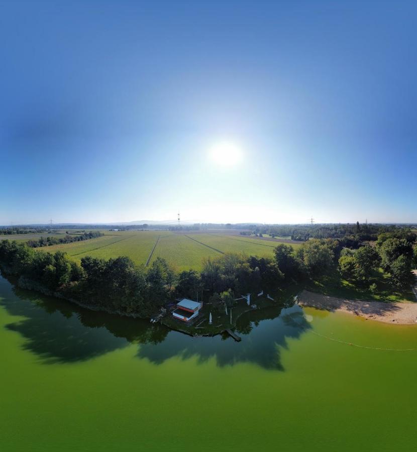 River View Near Frankfurt -- 3 Zimmer -- 4 Betten Und 1 Groesse Schlafcouch Hainburg Екстер'єр фото
